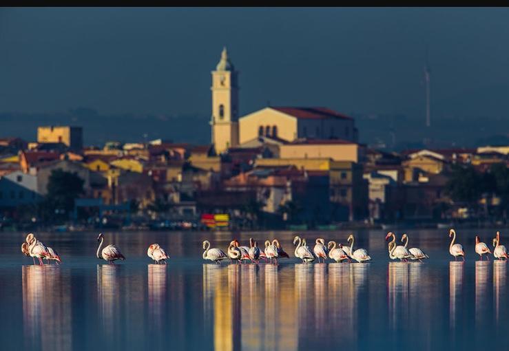 Casale Villa Giulia Marina Di Lesina Bagian luar foto